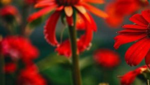 Реальные истории любви из жизни - Подарок судьбы;...