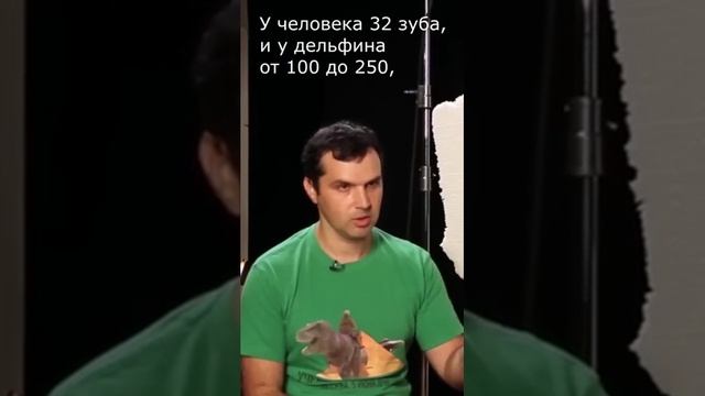 Человек произошёл от дельфина