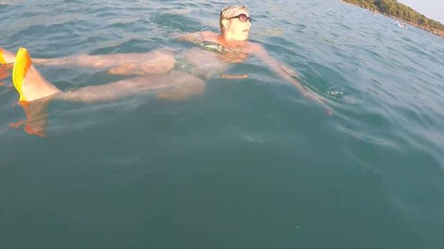 Черепашка Тортила в Турции смотреть онлайн