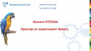 Kyocera P2335dn не захватывает бумагу. Ремонтируем в сервисном центре "Заправочный цех" в Оренбурге.