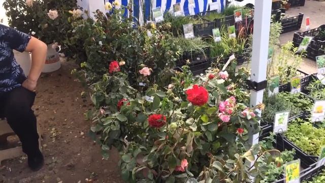 Выставка растений в Краснодаре в КубаньЭкспоцентре на Зиповской, 5 смотреть онлайн