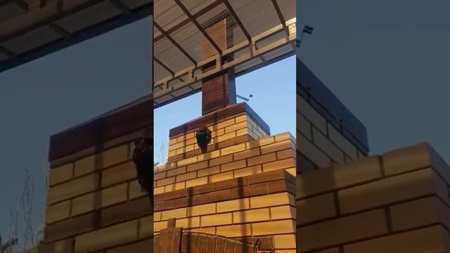 новое задание,исправить дымящий барбекю. Дымит всё