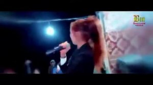 Туй дар навобод