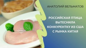 Индейка расправила крылья: российская птица вытеснила конкурентку из США с рынка Китая