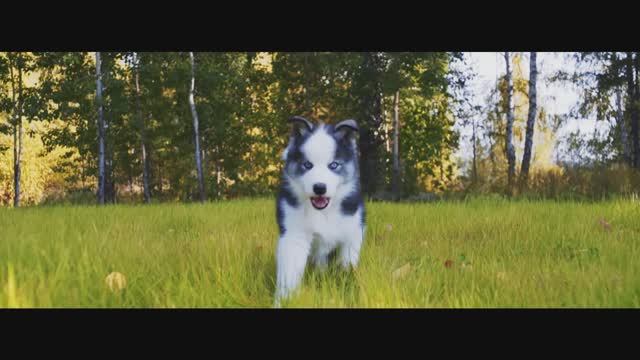 SUNNY VALLEUY смотреть онлайн