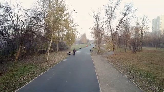 утро туманное смотреть онлайн