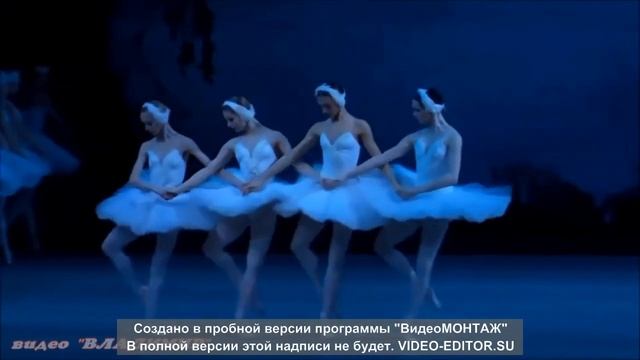 Одинокий лебедь смотреть онлайн