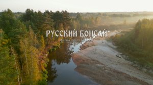 Русский Бонсай