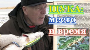 Щука - место и время
