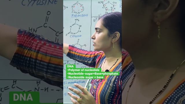 Learn structure of DNA Quickly with me @nidhimaanclasses8390