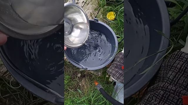 морская вода для #пчёл смотреть онлайн