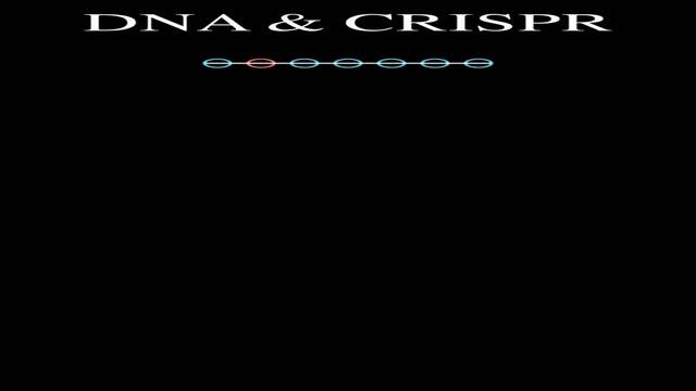 DNA replication and Cell division