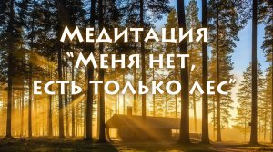 Медитация "Меня нет, есть только лес"