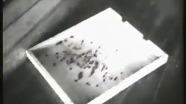 Советское пчеловодство  Павильонное содержание