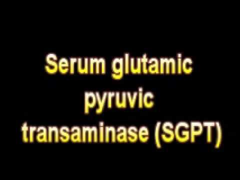 What Is The Definition Of Serum glutamic pyruvic transaminase SGPT