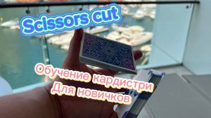 Обучение кардистри для новичков (Scissors Cut cardistry tutorial )