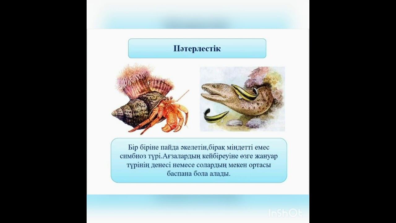 тірі ағзалардың өзара карым-қатынасы 8-сынып