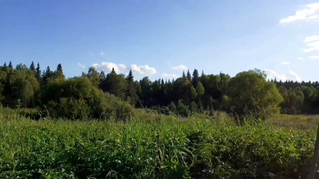 Цитаты и афоризмы мудрых людей 2. смотреть онлайн