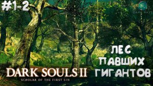 Dark Souls II: Scholar of the First Sin #1-2 ➤ Начало