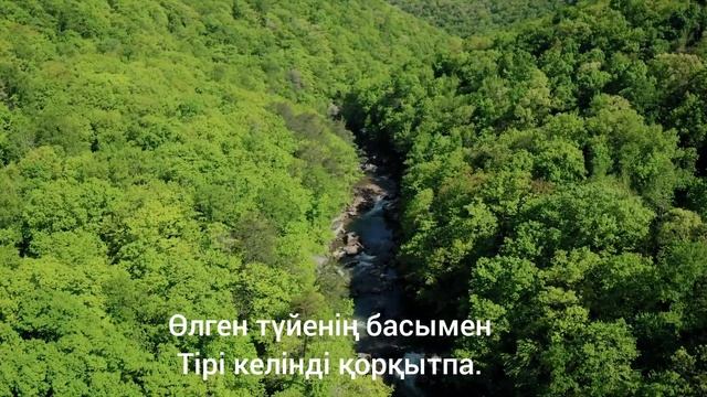 Ене мен келін // Келіні жақсы болса... смотреть онлайн