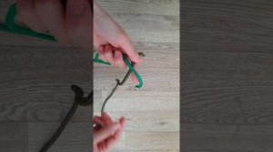 Грейпвайн. Как вязать узел?