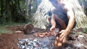 Primitive Technology Making poisonous Black bean safe to eat (Moreton Bay Chestnut)