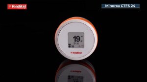 Fondital Minorca CTFS 24 Обзор газового настенного двухконтурного котла