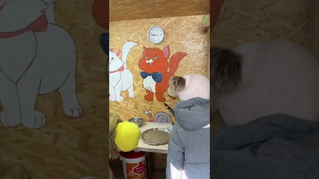 ♥️ #леснаясказка гости заходят в кошкин дом