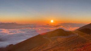 Нежность - Роман Исаев