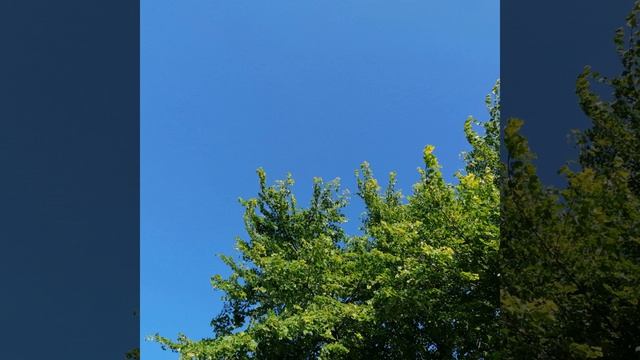 Midnight Vanguard смотреть онлайн