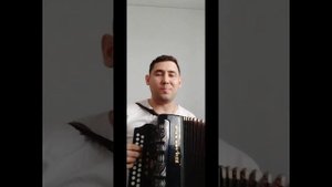в городском саду падал снег Михаил круг (кавер) под гармонь тульская 402