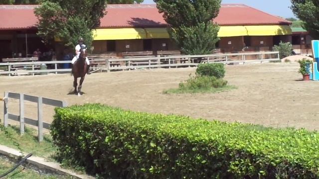 11/07/2015 A.S.D. KAppa Equestre B 100 tempo Erika e Fellini 3° class. смотреть онлайн