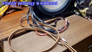 Audiocrast WE08 способен удивить.