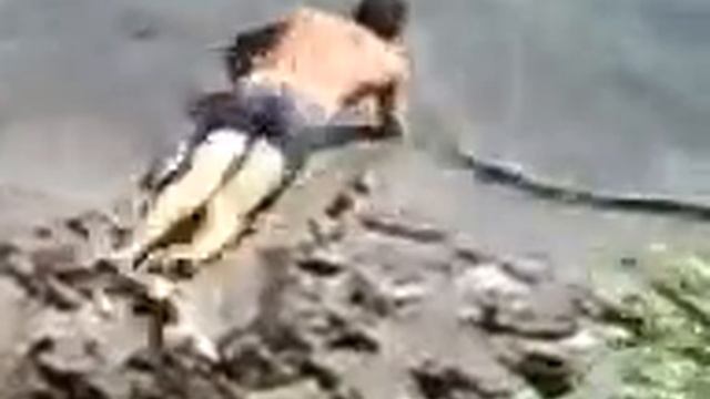 Прыжок в воду.3gp