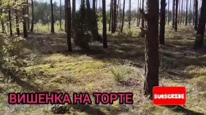 БРАЧНОЕ ЛОЖЕ ГОТОВО. ОЛЬГА УРАЛОЧКА LIVE. ОБЗОР.