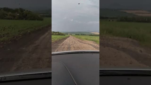 Привольное