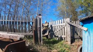 пикник в деревне ,жарим ребрышки и картошку