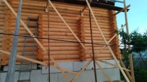 Сруб дома 6*8 в чашу.