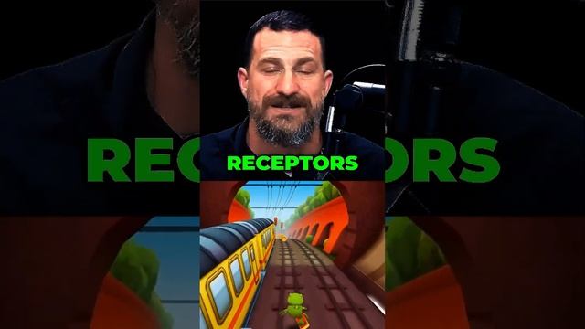 Uncover the effects of caffeine on dopamine receptors and how it enhances motivation and drive. смотреть онлайн