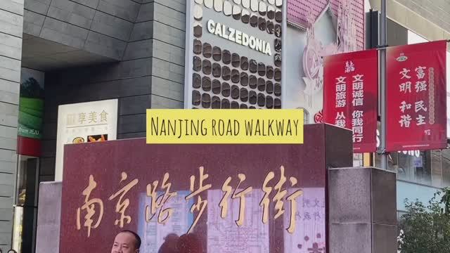 Прогулки по Шанхаю с Лизой Копосовой! Walking in Shanghai with me!!!