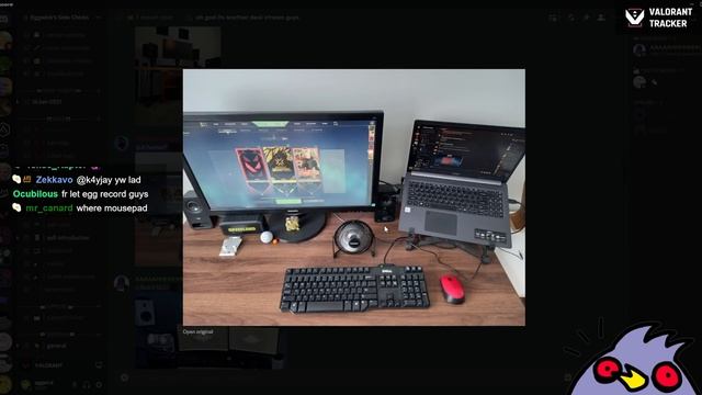 Proof That Gear Doesn't Matter — Roasting the BEST & WORST Valorant Desk Setups смотреть онлайн