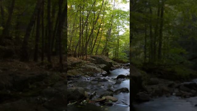 water pool #meditationmusic #attractpurecleanenergy #relaxingmusic смотреть онлайн