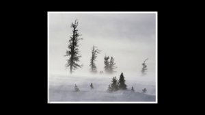 Цыганская песня - Вьюга