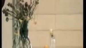 Не жалею, не зову, не плачу Сергей Есенин Наталья Бондарчук к ф Солярис Романс