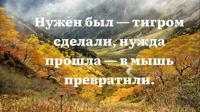 Невероятно Мудрые Японские Пословицы. Цитаты и Афоризмы Японцев.