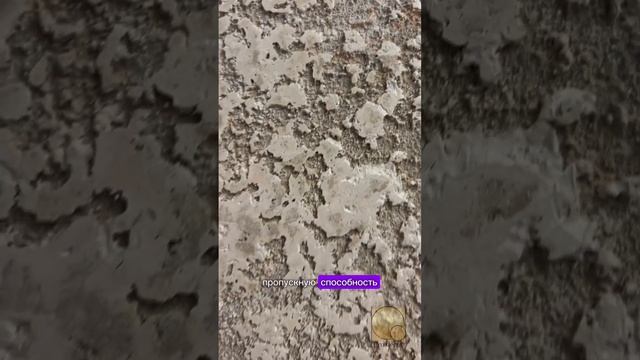 PRO DECOR Салон декоративных отделочных материалов