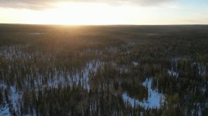 01-12-2024. Шеркалка. Чебак