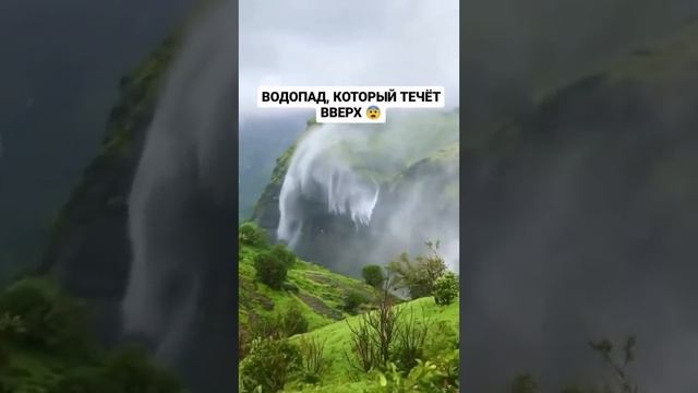 15 февраля 2024 г. смотреть онлайн