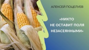 «Никто не оставит поля незасеянными» | Дилер семян — о селекции пропашных и ситуации на рынке