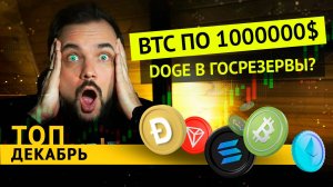 Какую криптовалюту покупать? ТОП 5 монет на декабрь 2024